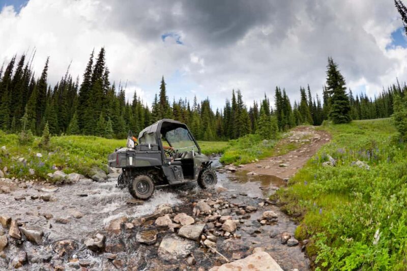 Island Park: Full-Day UTV Adventure - Discover Island Parks Rugged Backcountry on a Full-Day UTV Adventure