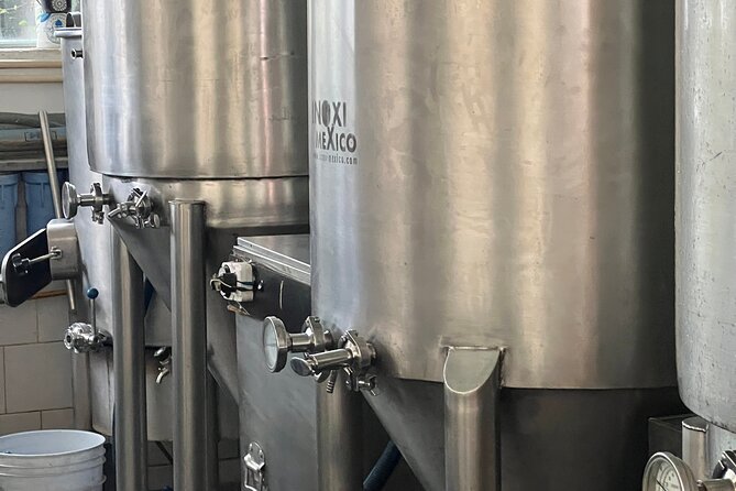 Island Shakers: Cozumel Mixology & Taco Tour - Considerations and Practical Tips