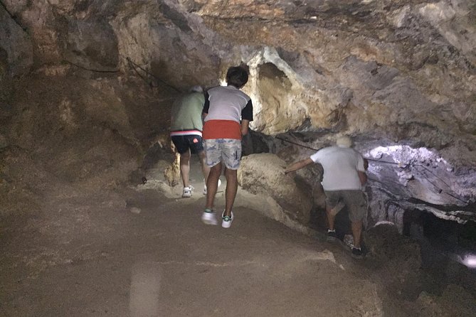 Island Spinalonga, Milatos Cave,private Speedboat,OliveOilTasting - Olive Oil Tasting at a Family Factory