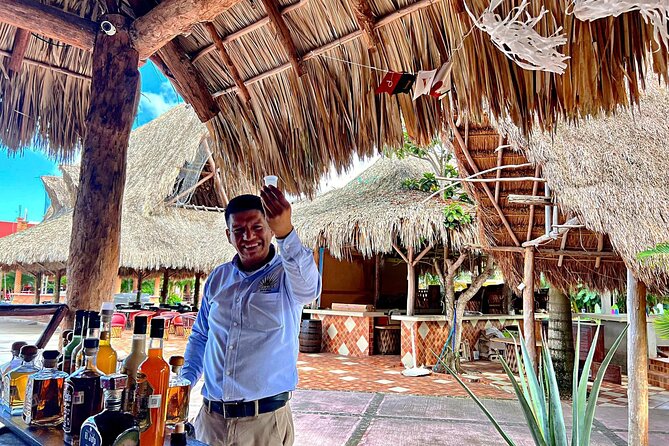 Island Tour in Cozumel, Mayan Show & Tacos - Key Points