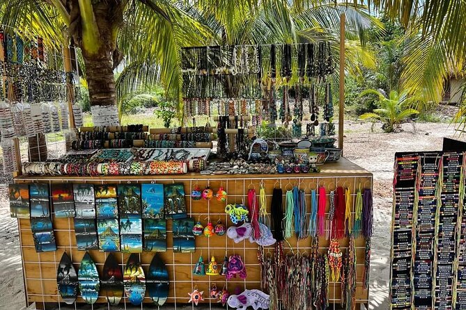 Island Tour in Cozumel, Mayan Show & Tacos - Hotel Hacienda Ixtlan: Tequila Tasting Experience