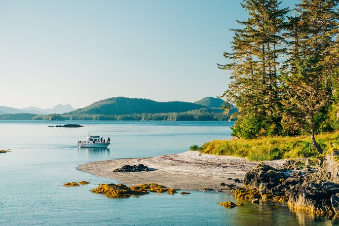 Islands of Wonder: Sitka Wildlife Boat Adventure (4 hours) - Key Points