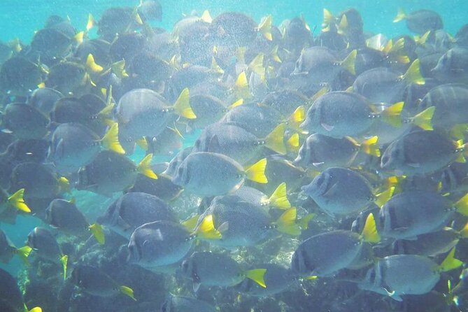 Islas Marietas PRIVATE enter hidden beach 100% GUARANTEED - Scenic Stops at Playa Nopalera and the Bufadora