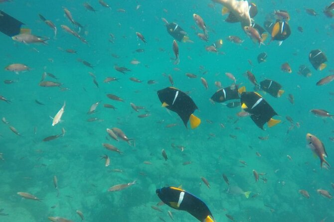 Islas Marietas PRIVATE enter hidden beach 100% GUARANTEED - Inclusions and Practical Tips for a Smooth Trip