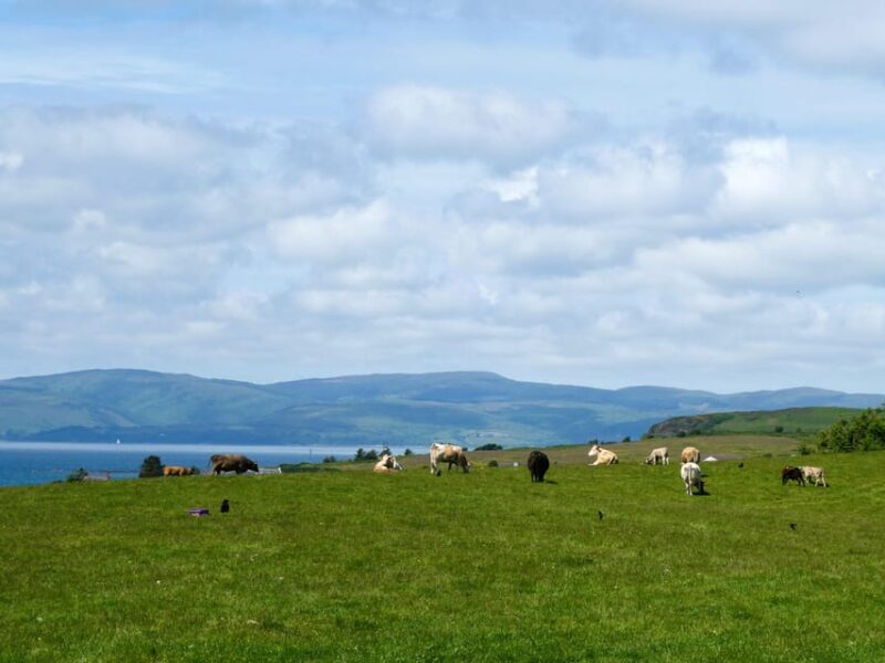 Isle of Arran: Exclusive Private Farm Tour with the Farmer - Key Points