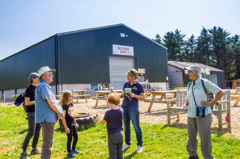 Isle of Arran: Exclusive Private Farm Tour with the Farmer - Hand Feeding Highland Cows and Farm Animals Up Close