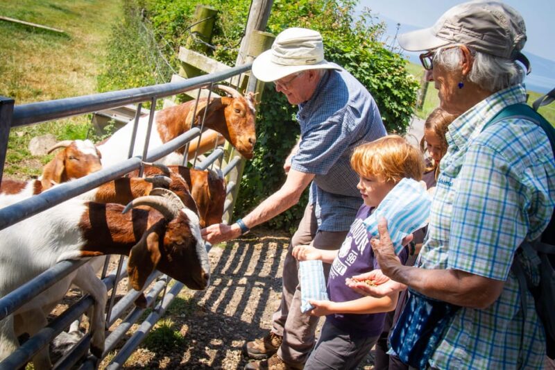 Isle of Arran: Exclusive Private Farm Tour with the Farmer - Practicalities and Booking Details