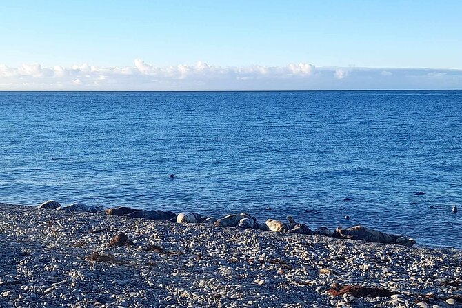 Isle of Man Wildlife & Scenic Adventure with Wildlife enthusiast - Exploring Langness Peninsula, a UNESCO-Recognized Nature Site