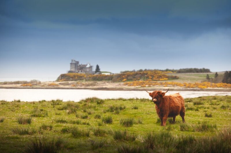 Isle of Mull and Iona 3-Day Small-Group Tour from Glasgow - Who Will Enjoy This Tour?