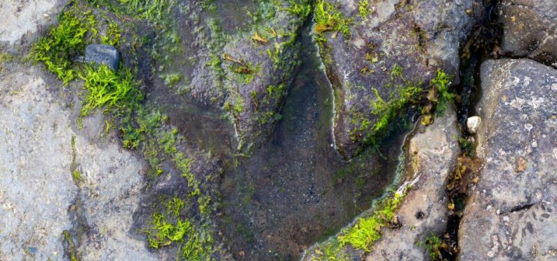 Isle of Skye Driving Tour from Portree with an APP - Fairy Glen and Historical Sites: Caisteal Ùisdein