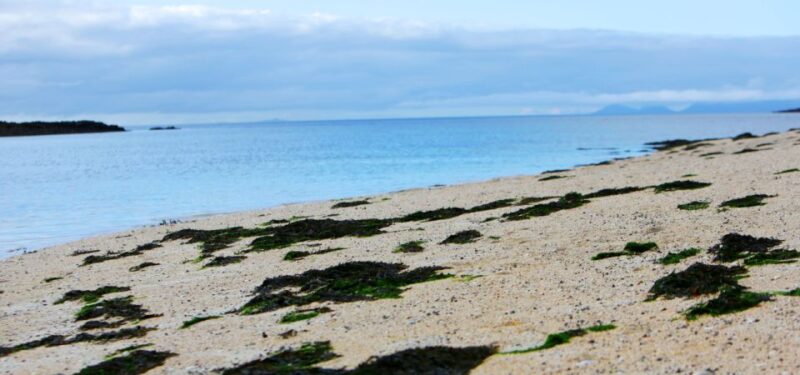 Isle of Skye: Portree to Fairy Pools Smartphone Guide - Marveling at the Cuillin Mountains