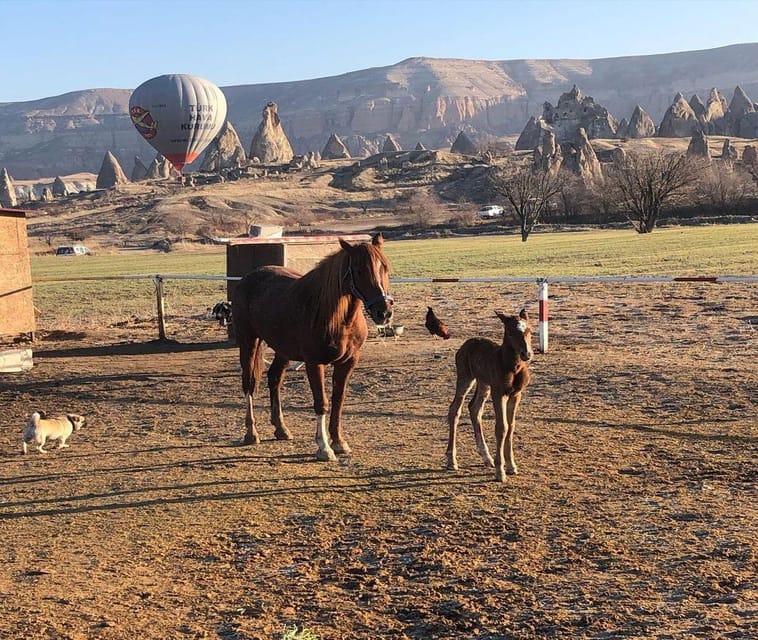 Istanbul: 2-Day Trip to Cappadocia with Flights & Lunchs - Practical Details: Group Size and Accessibility