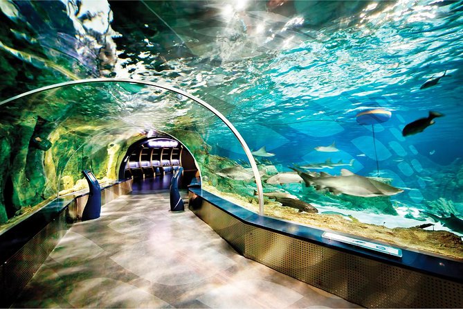 Istanbul Aquarium and Aqua Florya Independent Shopping Trip - Limitations and Considerations Based on Reviews