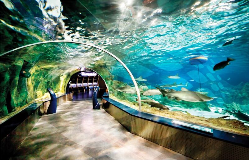 Istanbul Aquarium and Aqua Florya Shopping Mall Tour - Exploring Istanbul Aquarium’s Themed Zones
