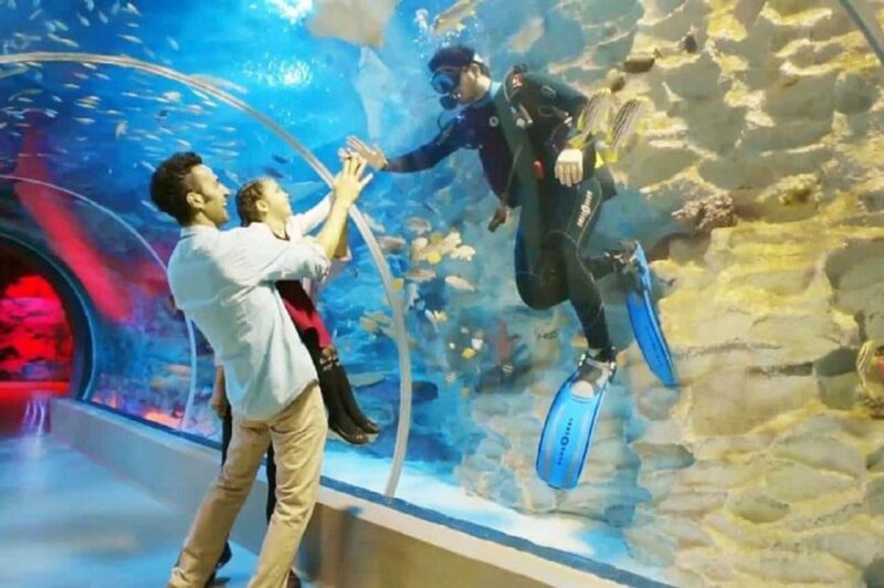 Istanbul Aquarium and Aqua Florya Shopping Mall Tour - Shopping and Dining at Aqua Florya Mall