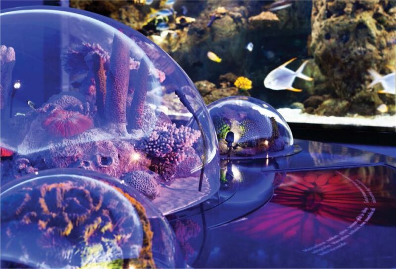 Istanbul Aquarium and Aqua Florya Shopping Mall Tour - What Sets It Apart from Similar Tours