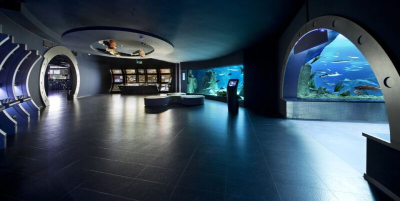 Istanbul Aquarium and Aqua Florya Shopping Mall Tour - Limitations and Considerations