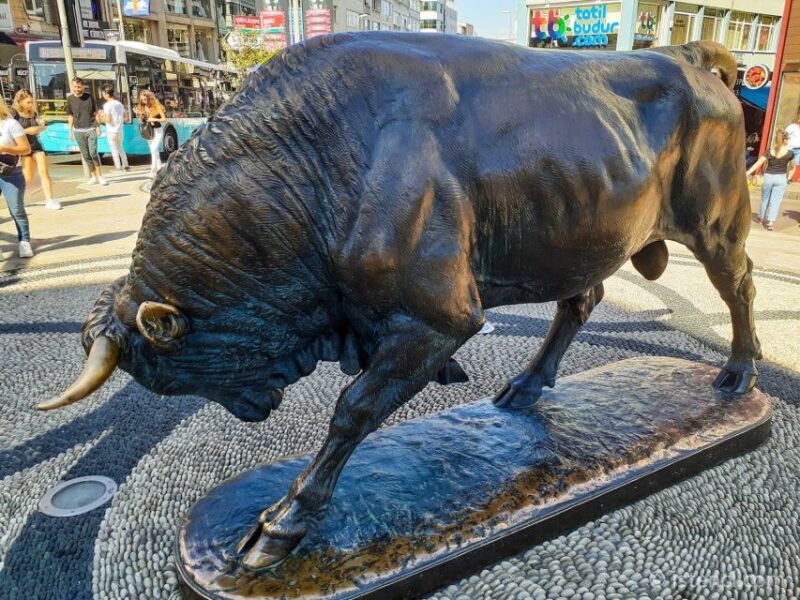 Istanbul: Asian Continent Highlights Walking Tour - The Viewpoints at Maiden Tower and Bosphorus: Picturesque Highlights