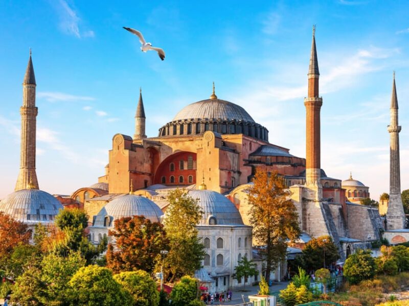 Istanbul: Basilica, Hagia Sophia, Blue Mosque Tour & Cruise - The Logistics of Security and Waiting Times
