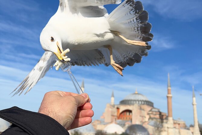 ISTANBUL BEST : Iconic Landmarks Full-Day Private Guided City Tour - Explore Istanbul’s Iconic Landmarks in a Private Full-Day Tour