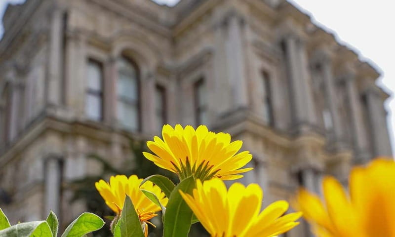 Istanbul: Beylerbeyi Palace Skip-the-Line Ticket & Audio - Exploring Beylerbeyi Palace’s Gardens and Bosphorus Views