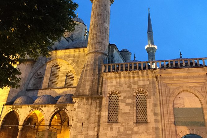Istanbul: Blue Mosque & Hagia Sophia Small-Group Tour - Who Will Most Appreciate This Tour?