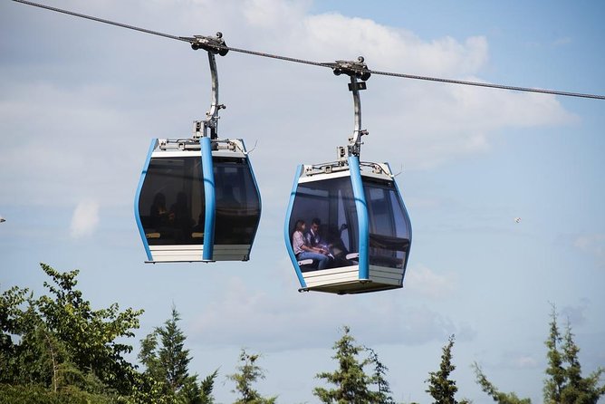 Istanbul Bosphorus Cruise And Dolmabahce Palace Tour Full Day - Practical Details and Tour Logistics