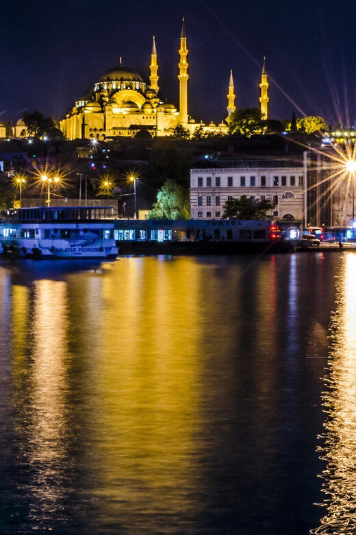 Istanbul: Bosphorus Dinner Cruise Incl. Drinks with Transfer - Who Will Appreciate This Night Cruise