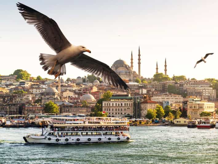 Istanbul: Bosphorus Morning/Sunset Cruise with Optional Stop - What You See from the Bosphorus