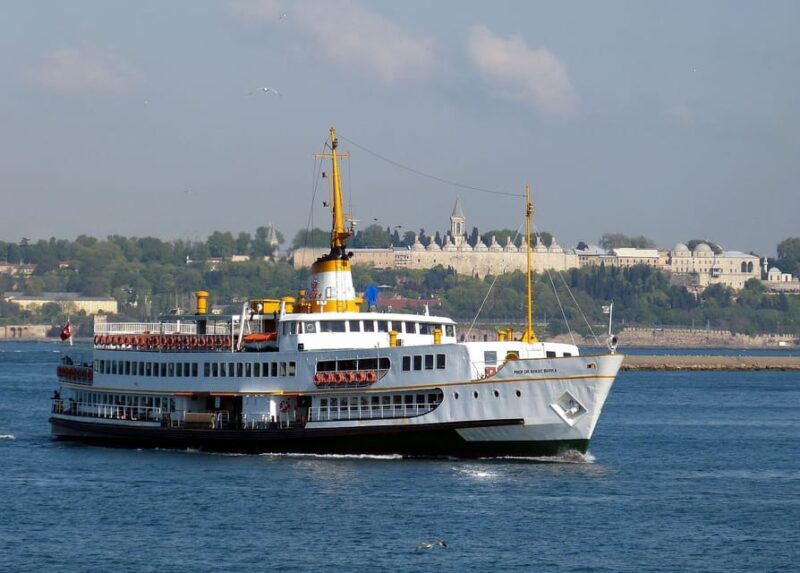 Istanbul: Bosphorus Morning/Sunset Cruise with Optional Stop - Food and Refreshments Included