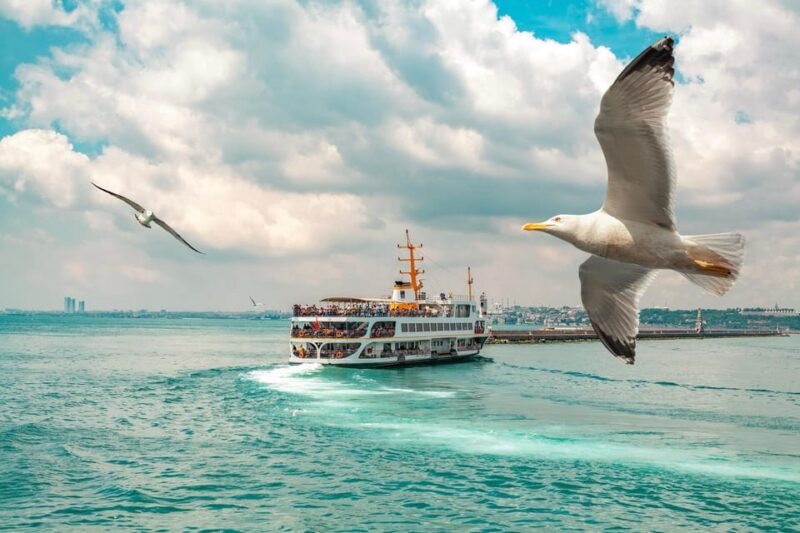 Istanbul: Bosphorus Strait Sightseeing Cruise & Audio Guide - The Quality of the Guides and Overall Value