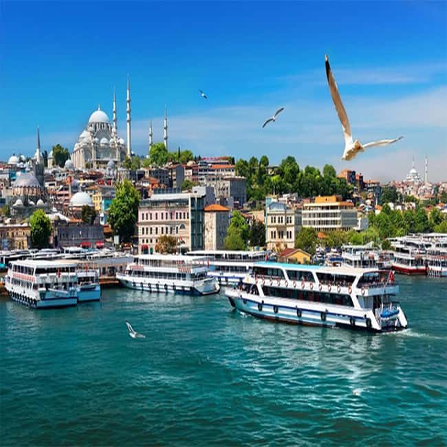 Istanbul Bosphorus Sunset Cruise Guided Tour - Discover Istanbul’s Iconic Landmarks from the Water