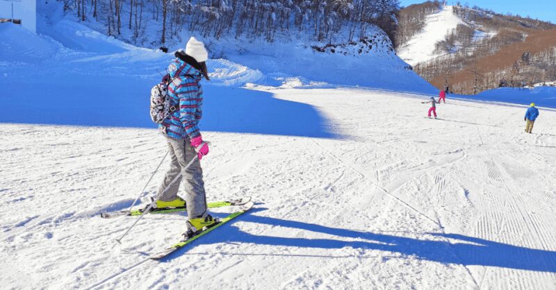Istanbul: Bursa & Uludag Tour with Lunch & Cable Car Option - Uludag Cable Car: Breathtaking Mountain Descent