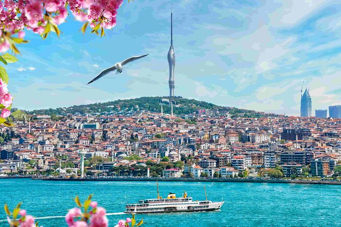 Istanbul Camlica Tower: Private Entry, Transfer & Dine Choices - The Experience in 3 Hours: Sightseeing and Dining Combined