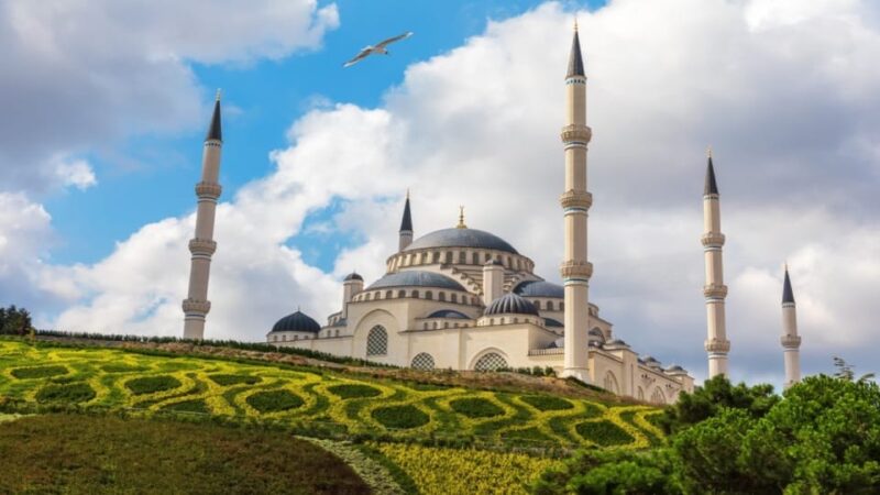Istanbul: City Hightlights Bus Tour and Bosphorus Cruise - Final Scenic Highlight: The Bosphorus Boat Cruise