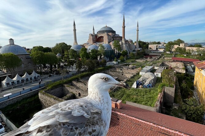 Istanbul city tour from Cruise ship terminal Galataport. - A Quick Glimpse of the Grand Bazaar’s Vibrant Atmosphere