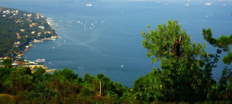 Istanbul: Day Trip to the Princes' Islands - Key Points