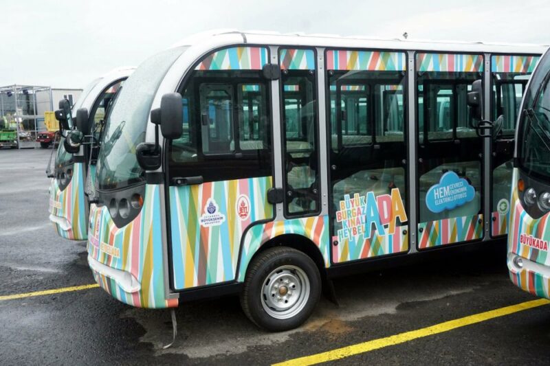 Istanbul: Day Trip to the Princes' Islands - Handling the Realities: What to Expect from the Experience