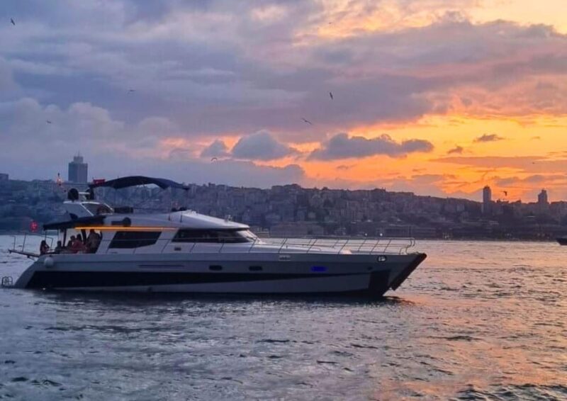 Istanbul: Daytime Bosphorus Yacht Cruise with Fruit & Snacks - The Route Passes Through Many Iconic Istanbul Neighborhoods