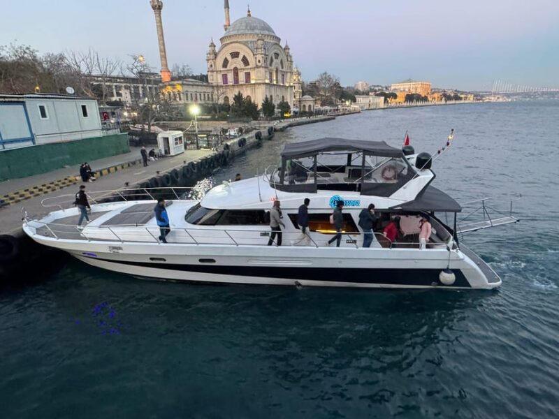 Istanbul: Daytime Bosphorus Yacht Cruise with Fruit & Snacks - Practical Details: Meeting, Timing, and Group Size
