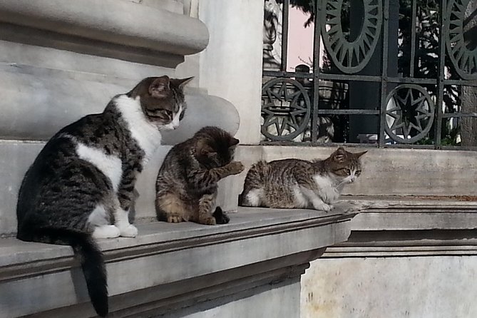 Istanbul Delights: A Journey Through Flavor and History - Delving into Byzantine History at Hagia Sophia