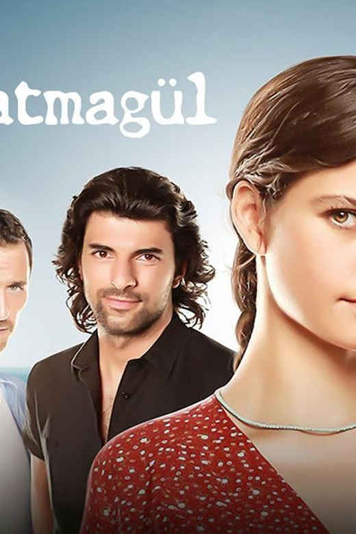 Istanbul: Discover the places where Turkish series are shot. - Practical Aspects: Pickup, Guide, and What’s Included