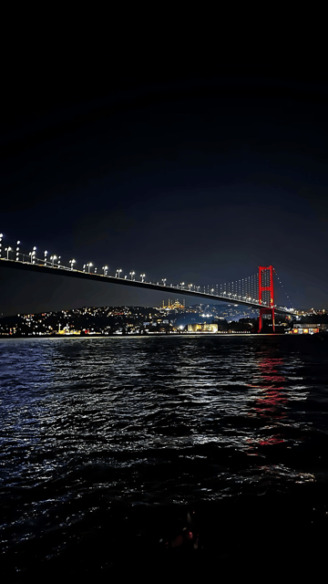 Istanbul: Exclusive Istanbul Night Tour with Private VIP Car - What’s Included and What’s Not