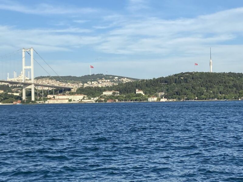 Istanbul: Full-Day Imperial & Asia Small Group Tour - Practical Details and Additional Costs