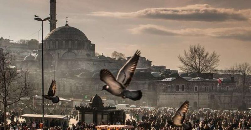 Istanbul: Full-Day Private Guided Tour - Istanbuls Top Highlights: Blue Mosque and Hagia Sophia