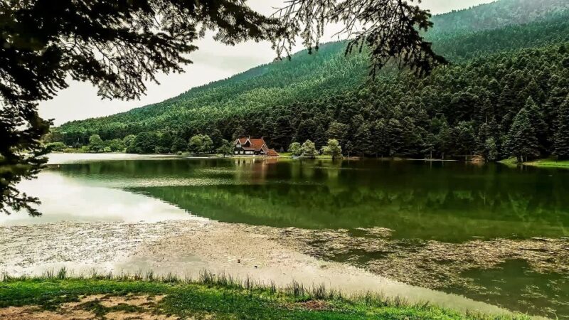 Istanbul: Full-Day Sapanca Lake and Masukiye Tour with Lunch - Experience the Best of the Istanbul Countryside with a Full-Day Tour to Sapanca and Masukiye