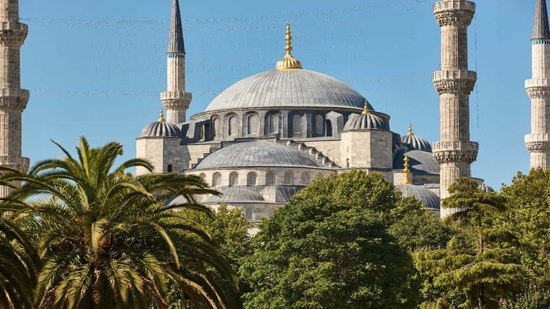 Istanbul Highlights: A Journey Through History and Culture - Discover Istanbul’s Highlights with a Private 8-Hour Tour