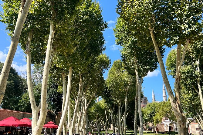 Istanbul Historical Wonders Full-Day Private Guided City Tour - Who Should Consider This Tour?