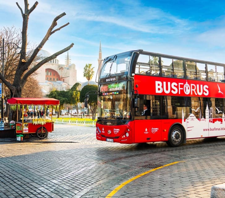 Istanbul: Hop-On Hop-Off Bus Ticket - Practical Details & Accessibility