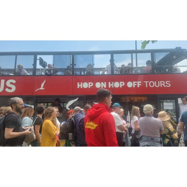 Istanbul Hop On Hop Off Bus24 Hours Ticket - Practical Tips for the Tour: Timing and Crowds
